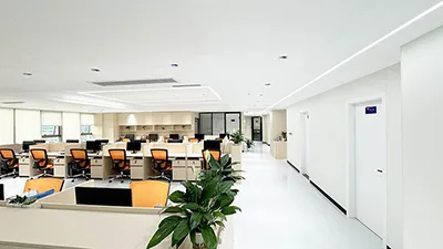 Company Profile