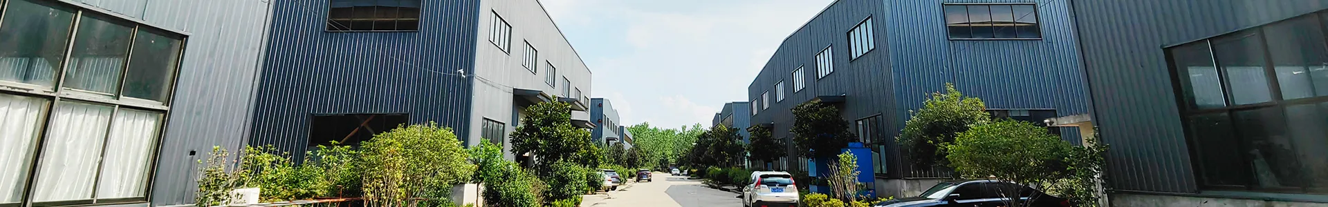 Company Profile